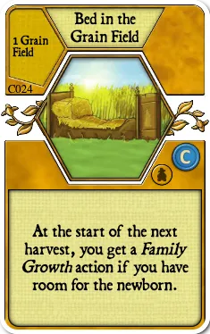 Bed in the Grain Field